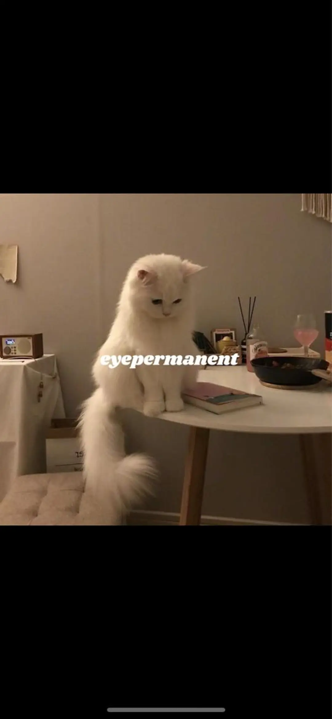 アイブロウ ワックス脱毛 眉カット その他(アイブロウ) mona 🎀韓国まつパ/眉毛のマツエク・マツパデザイン