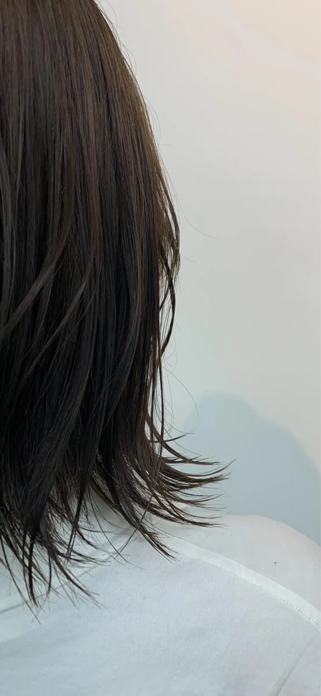 カラー 岬 弘人のヘアスタイル