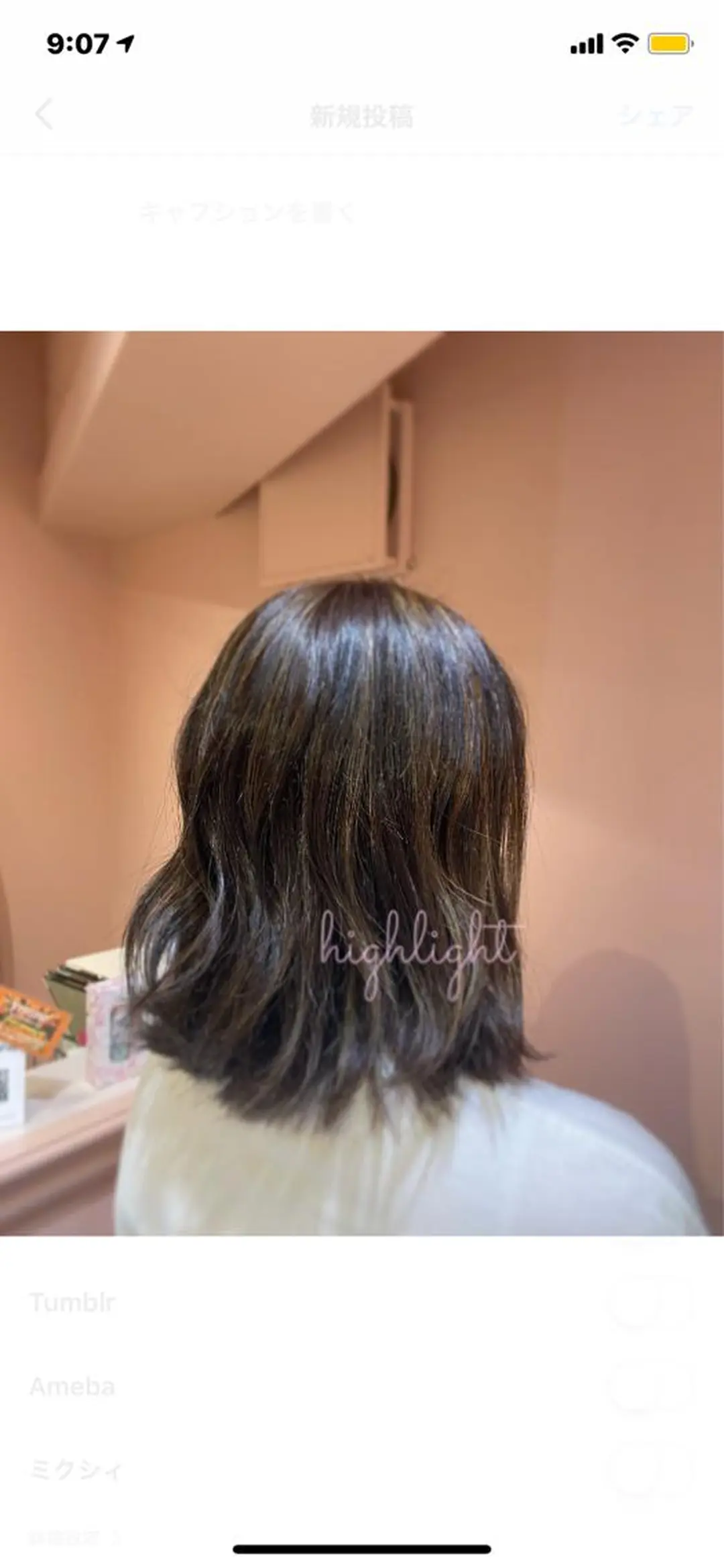 ショート カラー パーマ ヘアアレンジ RIYA❤︎ Aujuaソムリエのヘアスタイル