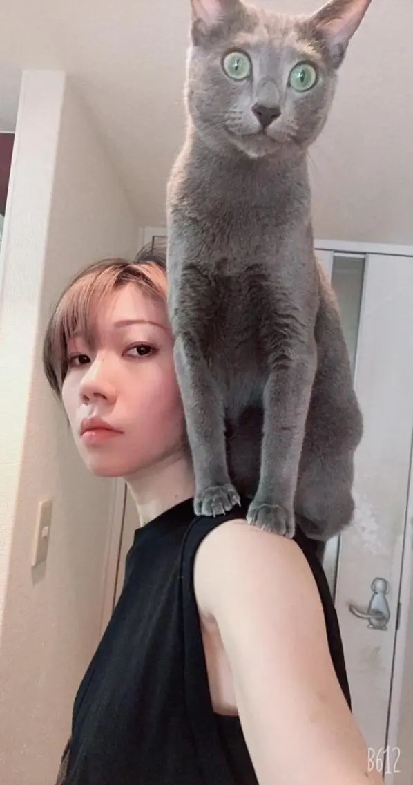 ミディアム カラー パーマ ヘアアレンジ メンズ キッズ ネイル マツエク・マツパ アニメ,Vオタク× 即効痩せエステサロンのエステ・リラクイメージ