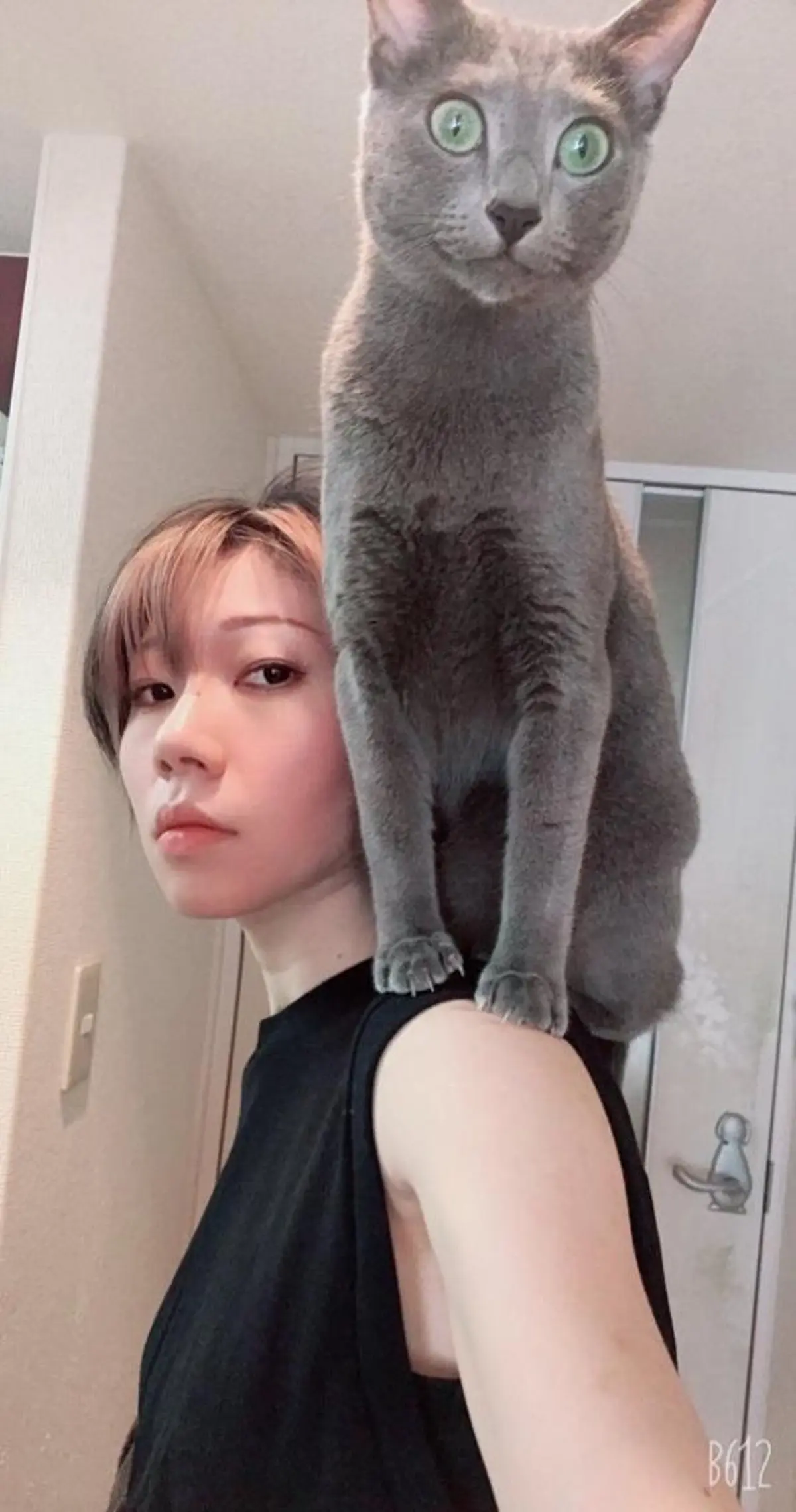 ミディアム カラー パーマ ヘアアレンジ メンズ キッズ ネイル マツエク・マツパ アニメ,Vオタク× 即効痩せエステサロンのエステ・リラクイメージ