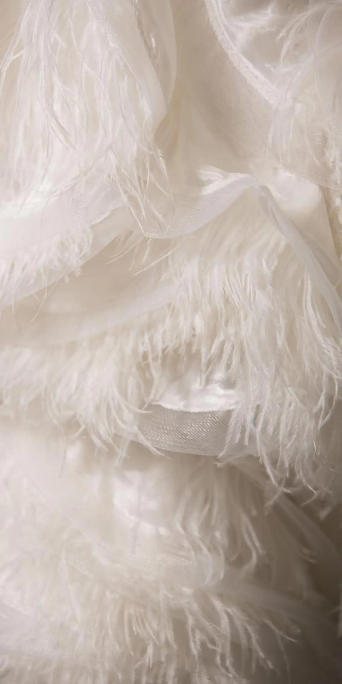 ネイル ハンドネイル mimi /ウィッシュコア🪽のネイルデザイン