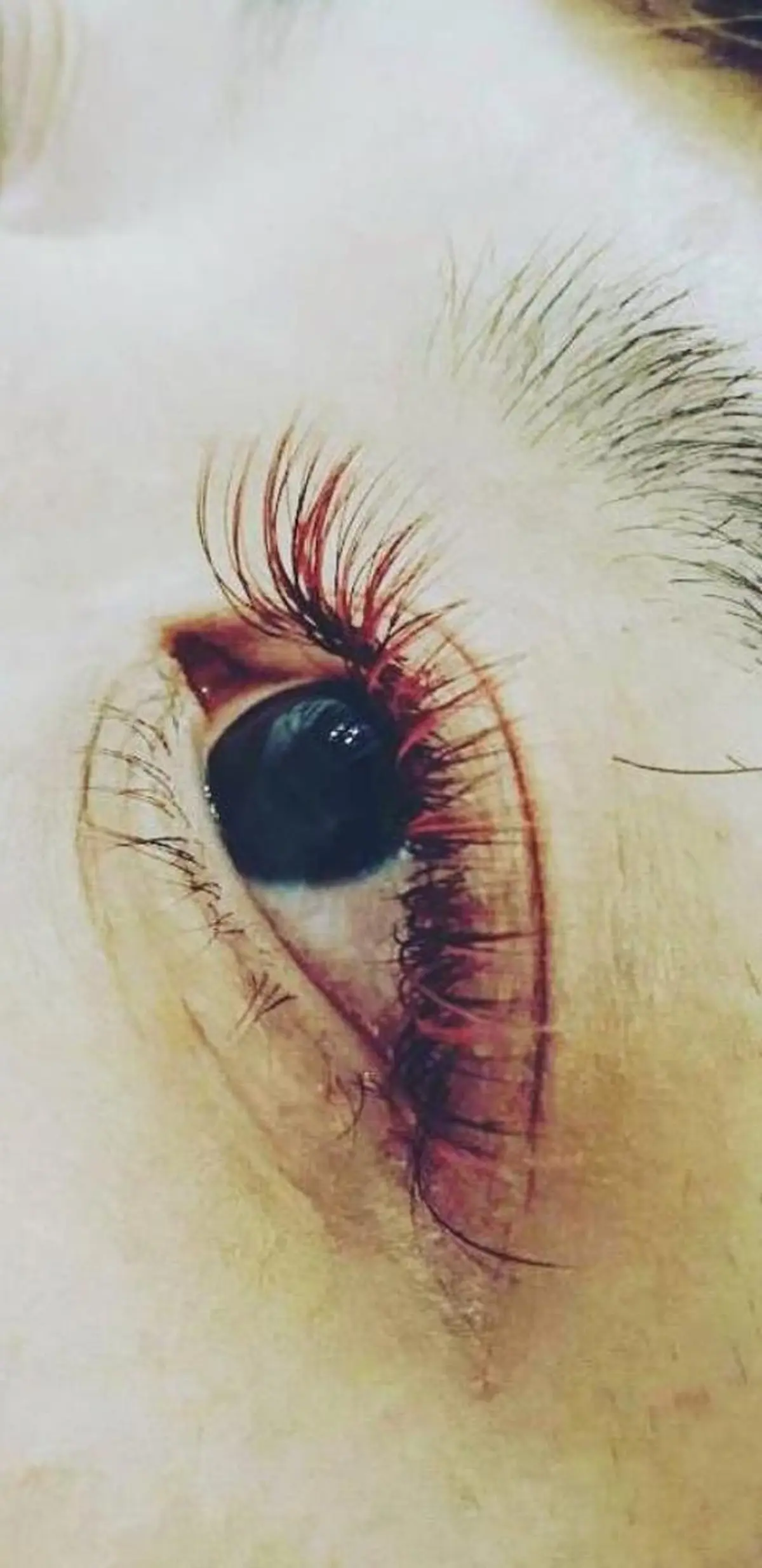 マツエク・マツパ カラーマツエク ボリュームラッシュ kireina mamaのマツエク・マツパデザイン