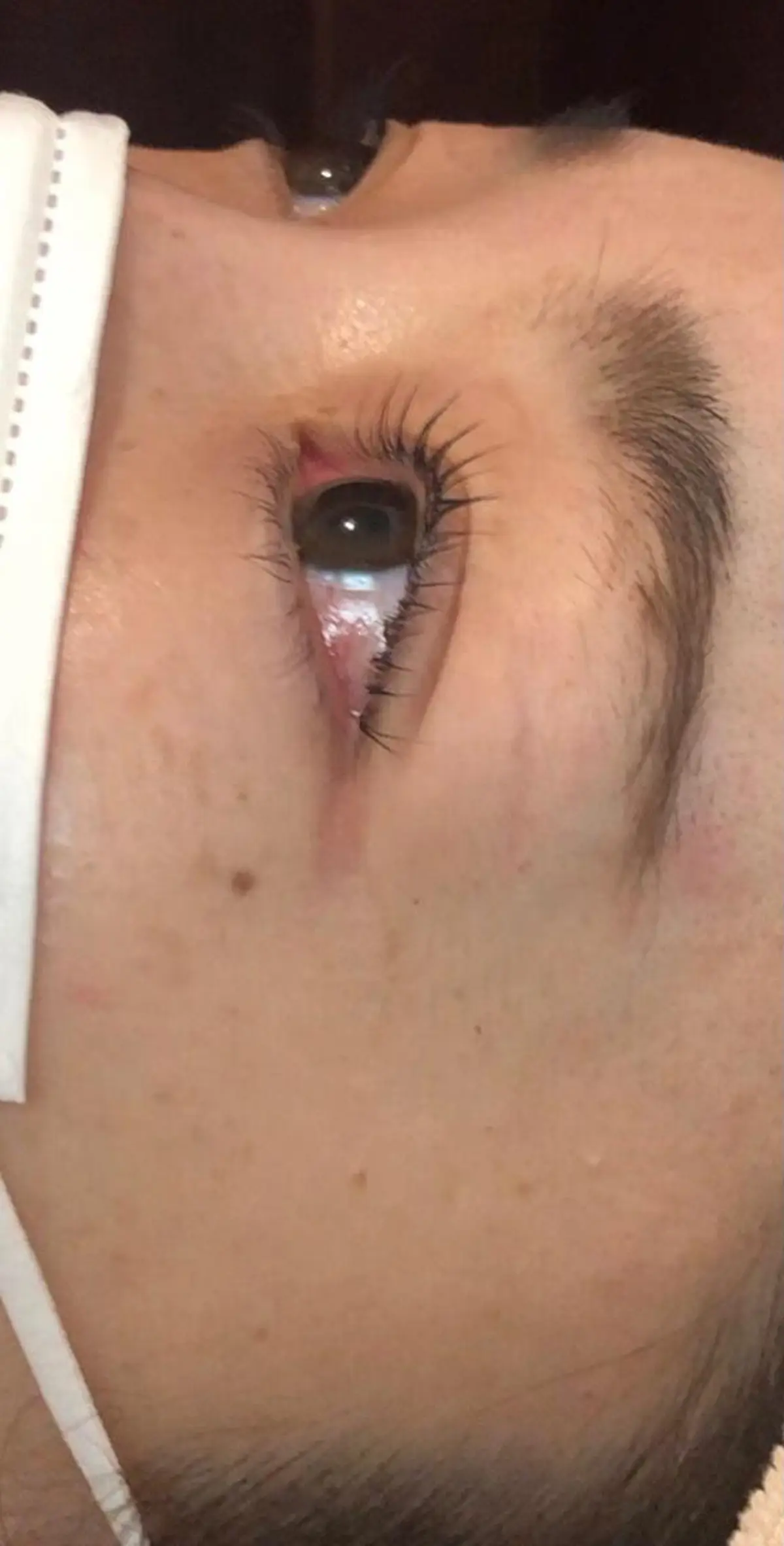 マツエク・マツパ マツパ 楠田 万利子のマツエク・マツパデザイン