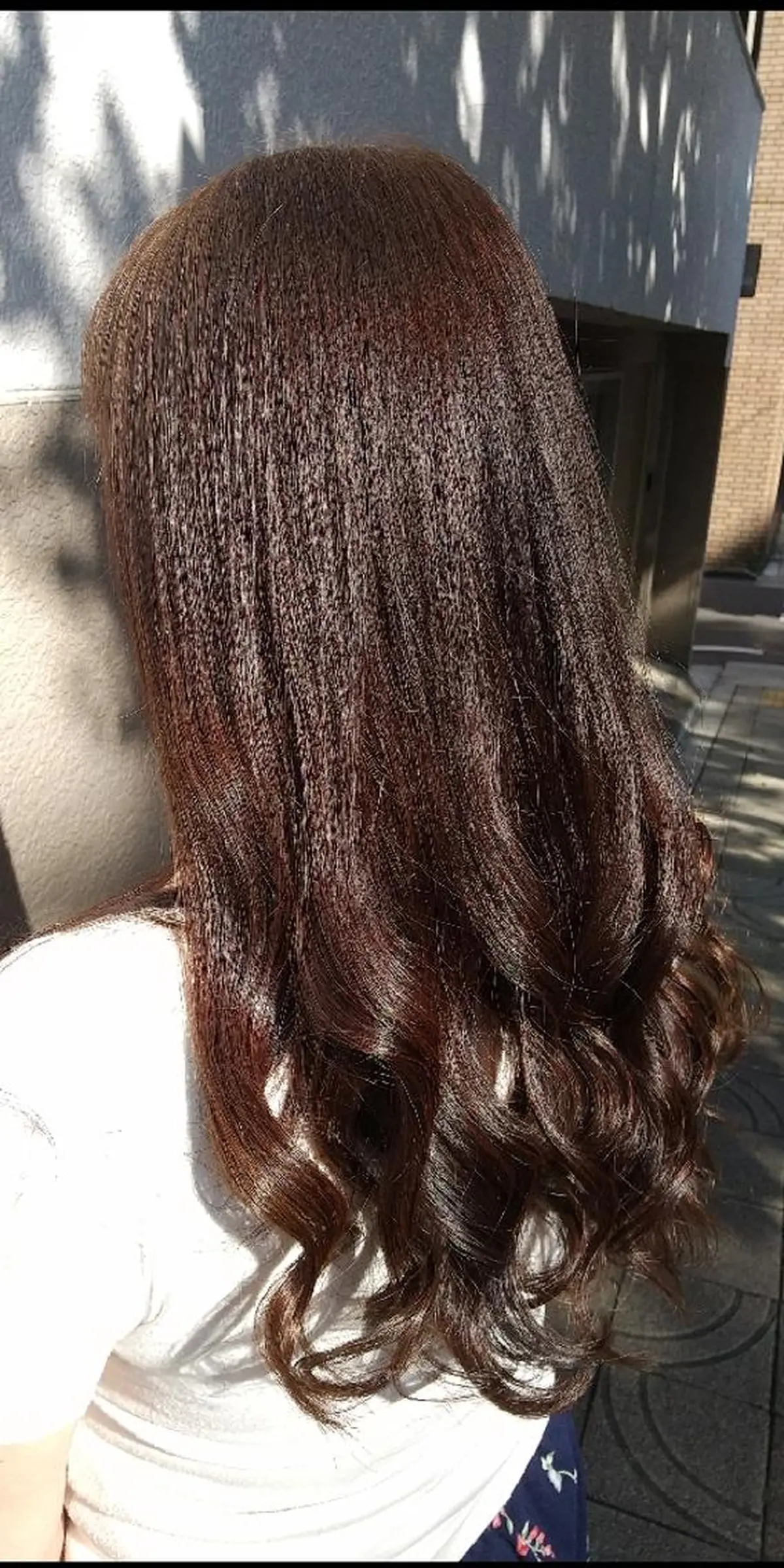 カラー SUMIRE🌿 スミレのマツエク・マツパデザイン