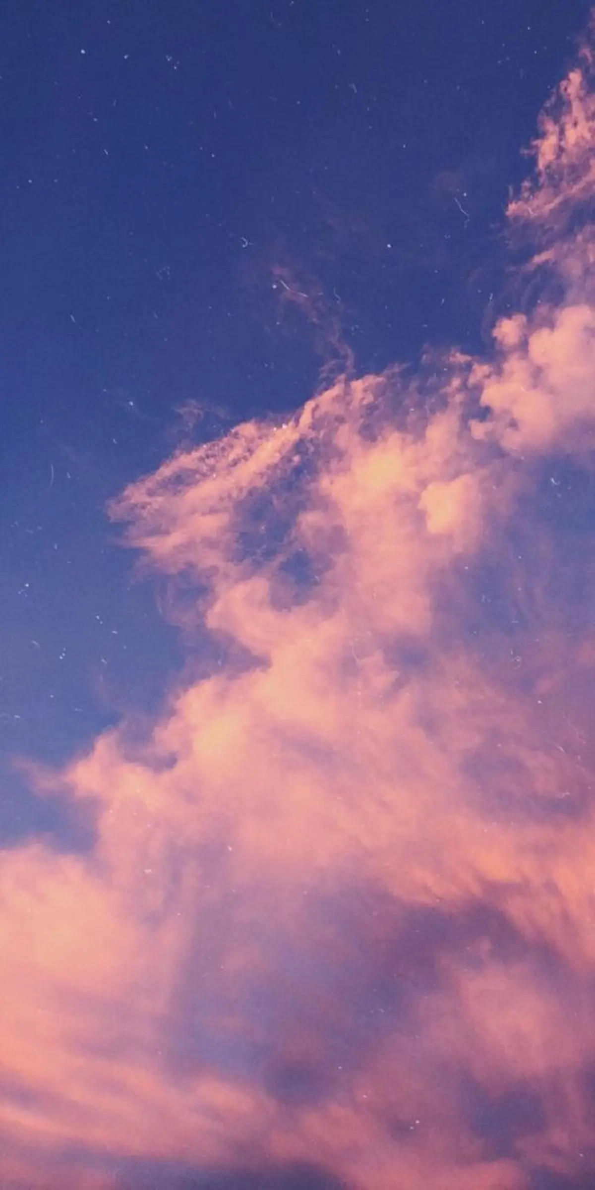 ∴Sanae. ∴ トータルビューティーのネイルデザイン