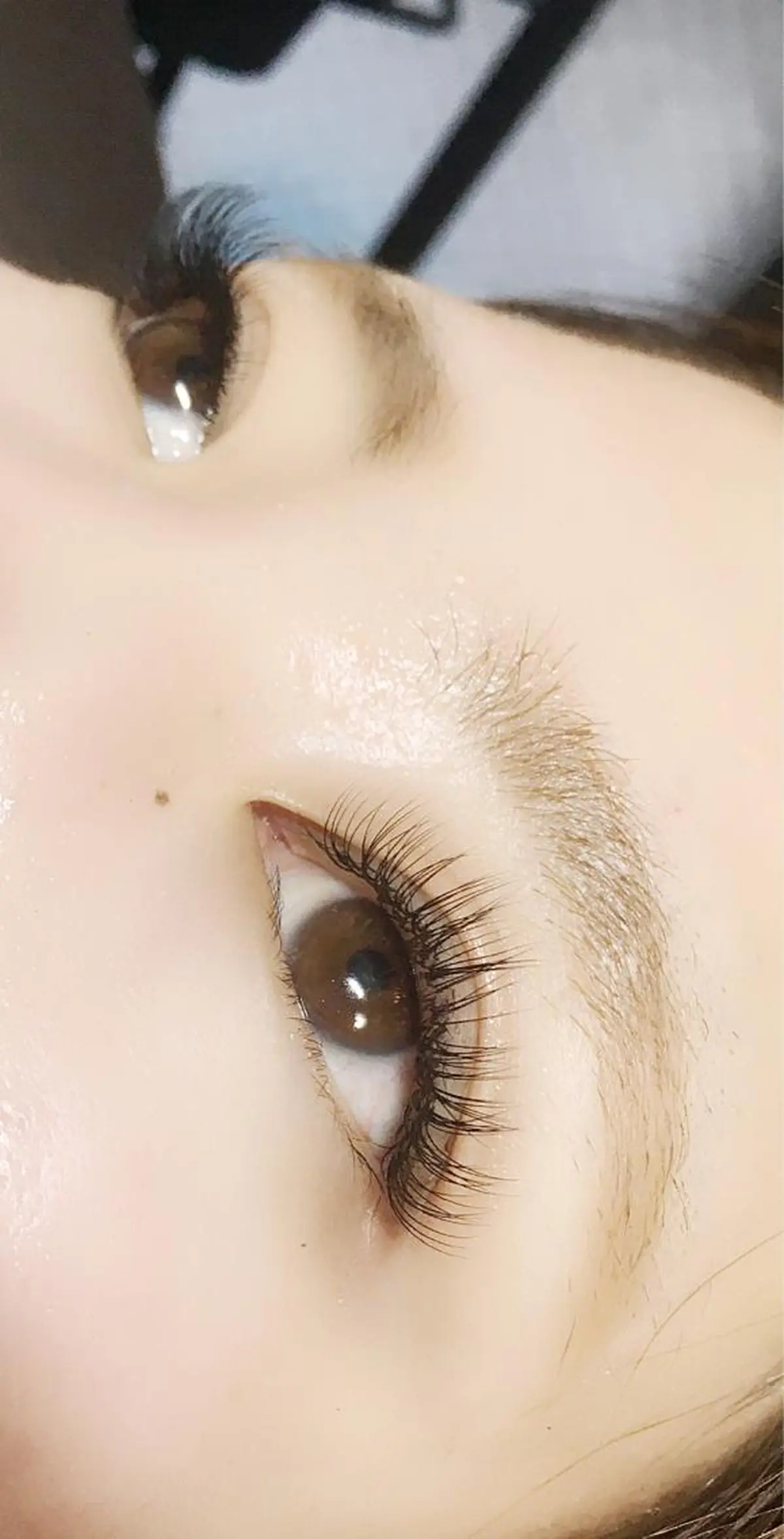 マツエク・マツパ まつげと眉毛の専門店 MeriSPAのマツエク・マツパデザイン