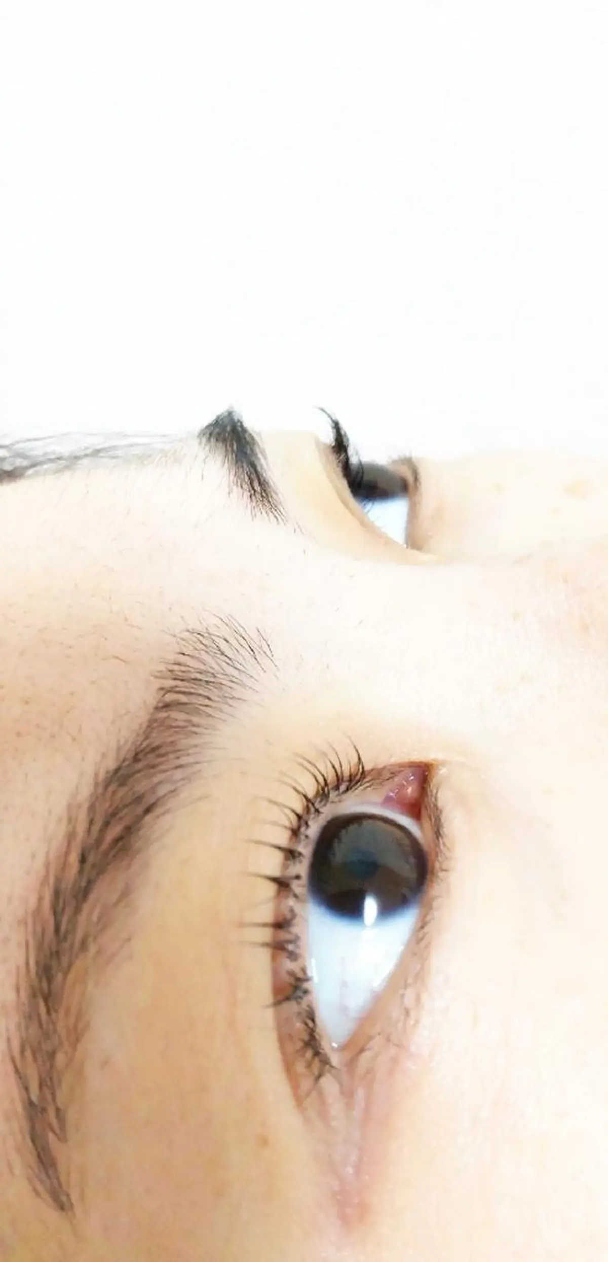 マツエク・マツパ 一重×まつ毛パーマ 🎼グラデーション スタイル札幌♫*⁠✧のマツエク・マツパデザイン