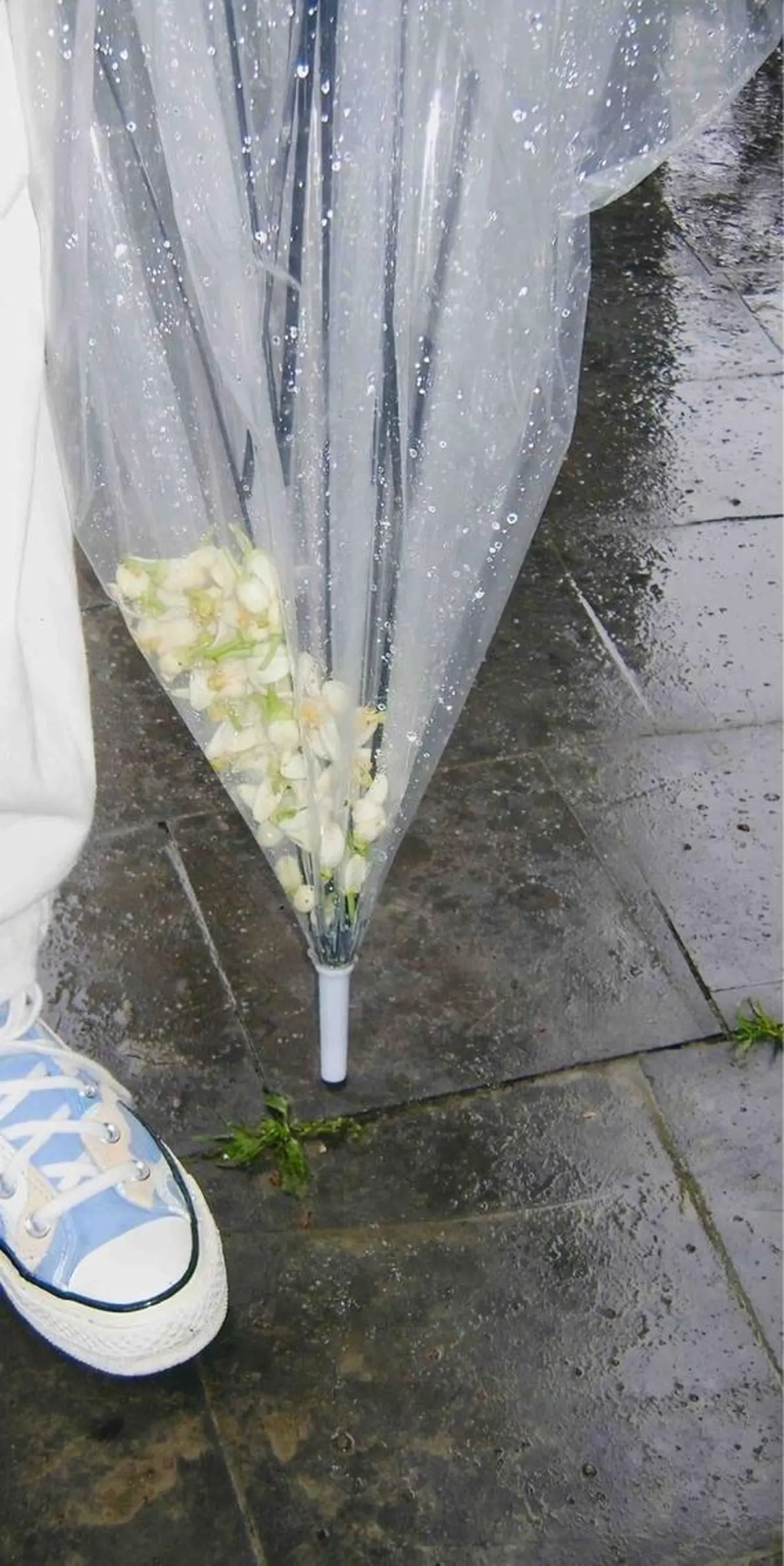 アイブロウ ecarg川崎店所属・🫧ecarg川崎 shuri🫧の眉毛・アイブロウイメージ