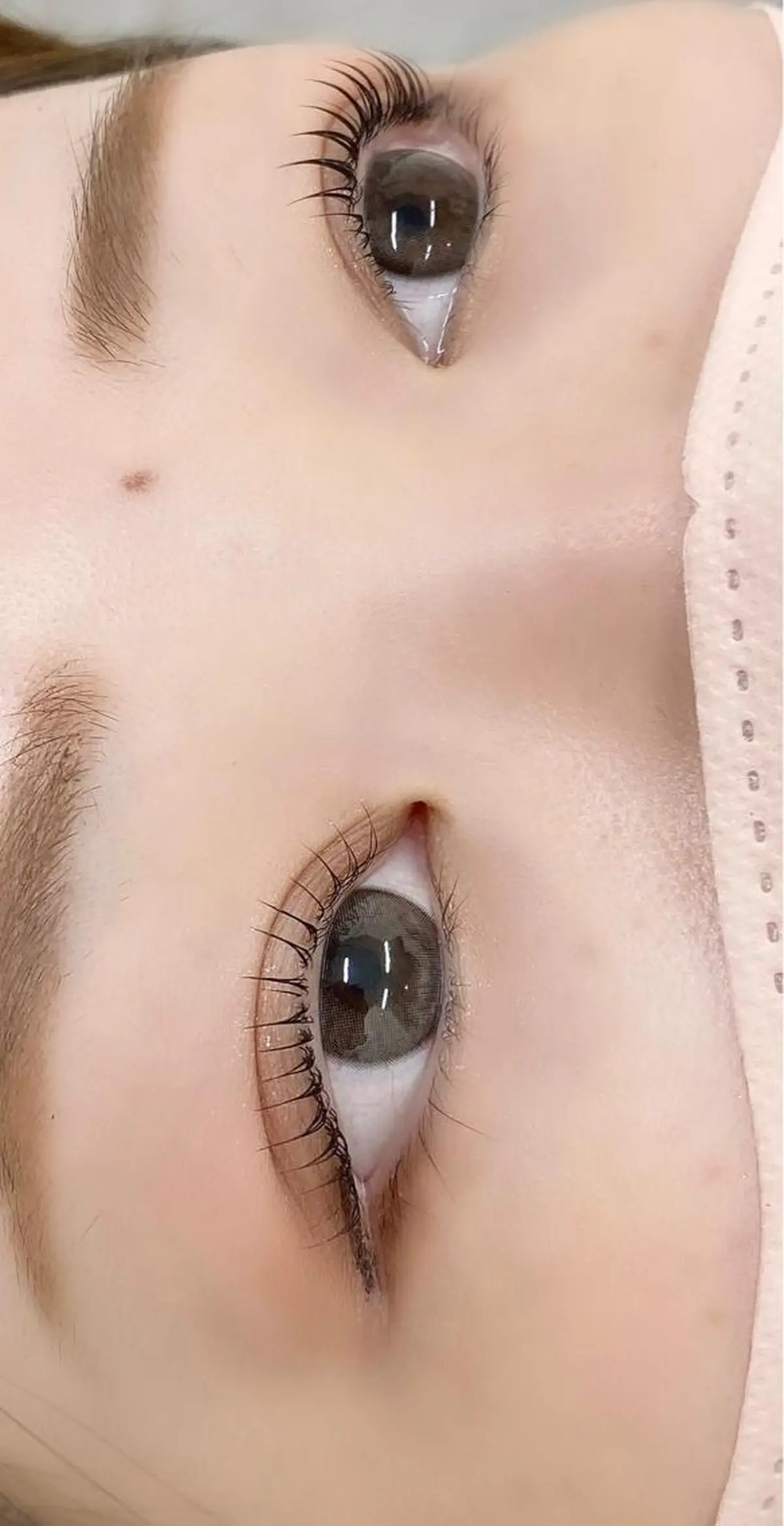 マツエク・マツパ 🌼Alba🌼 犬馬塲のマツエク・マツパデザイン