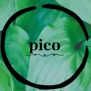 pico 守口   大日のプロフィール画像