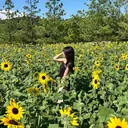 Helianthus haruのプロフィール画像