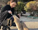 ANELA manaのプロフィール画像