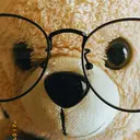 本田 真未のプロフィール画像