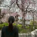 麻生 和桜のプロフィール画像