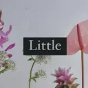 Little 武蔵小杉のプロフィール画像