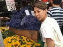 杉野 里菜のプロフィール画像