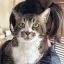 岸本 一花のプロフィール画像