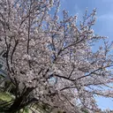 浅田 光希のプロフィール画像