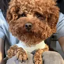 中村 颯太のプロフィール画像