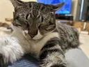窪 あすかのプロフィール画像