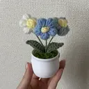 haruna UNELMA所属のプロフィール画像