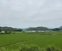 newi天王寺 keita✨のプロフィール画像