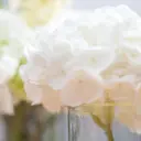 木場 ＊のプロフィール画像