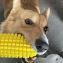 小舘 蒼央のプロフィール画像