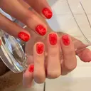 キュウ テンのプロフィール画像