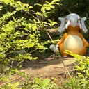 おくやま セプトアカデミーのプロフィール画像