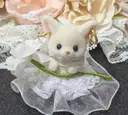 ショウジ ミキのプロフィール画像