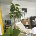 元アスリートが行う 足のケア専門店のプロフィール画像