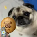 ヤマダ モエリのプロフィール画像