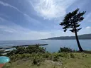 佐野 有紗のプロフィール画像