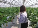 有木 咲良のプロフィール画像