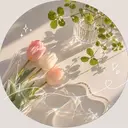 Ochi ⁺˳✧༚のプロフィール画像