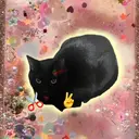 東 紅羽のプロフィール画像