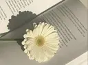 香里園 eyelashNonのプロフィール画像