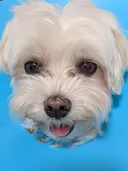 高橋 雄紀のプロフィール画像
