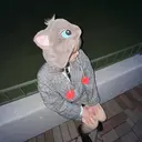 荒井 穂乃佳のプロフィール画像