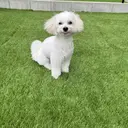 越智 薫奈のプロフィール画像