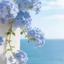 ka kinkaのプロフィール画像