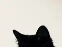 eye list ︴ 渡辺のプロフィール画像