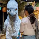 石崎 美帆のプロフィール画像