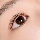 Nerine ネリネのプロフィール画像