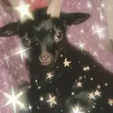 y2k/レイヤー shunのプロフィール画像