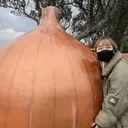 西脇 有紗のプロフィール画像