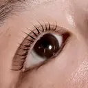 Nerine ネリネのプロフィール画像