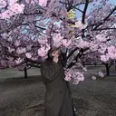 K&N__ Yunoのプロフィール画像
